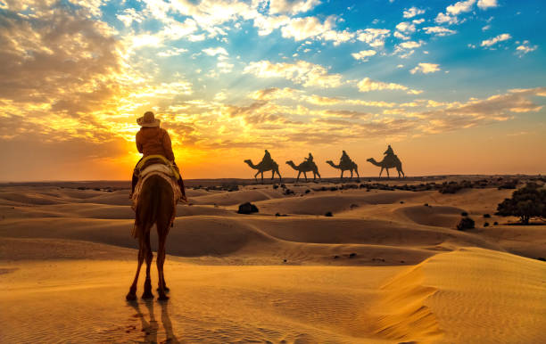 Delhi to Jaisalmer Tour - Syam Tours